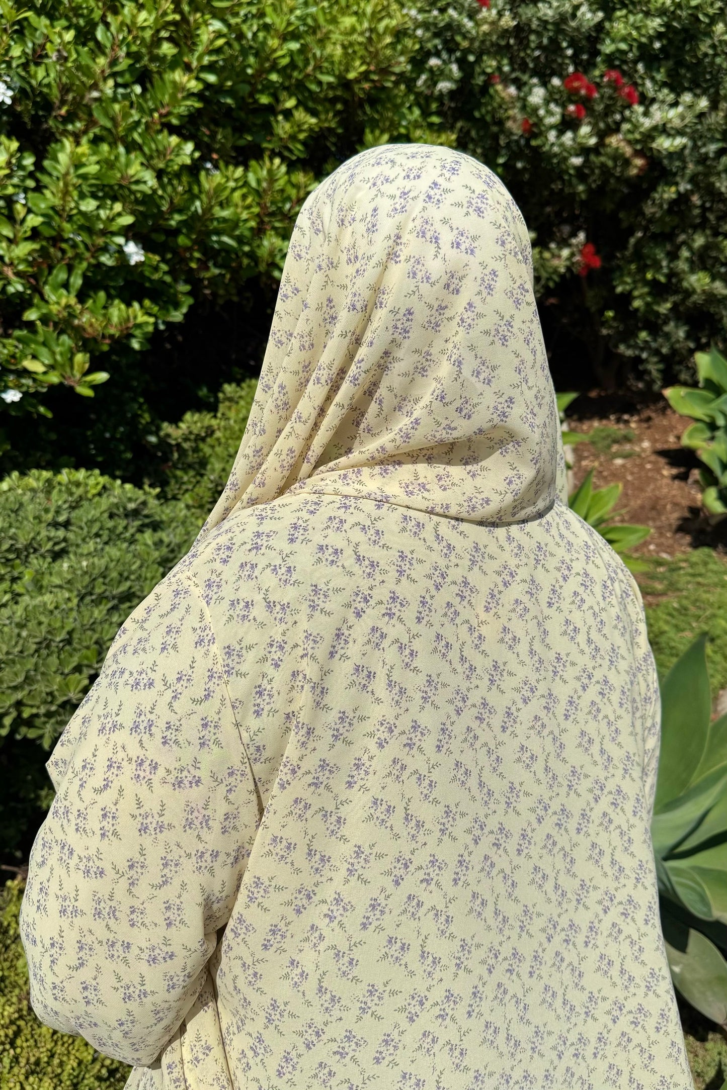 Butter Lilac