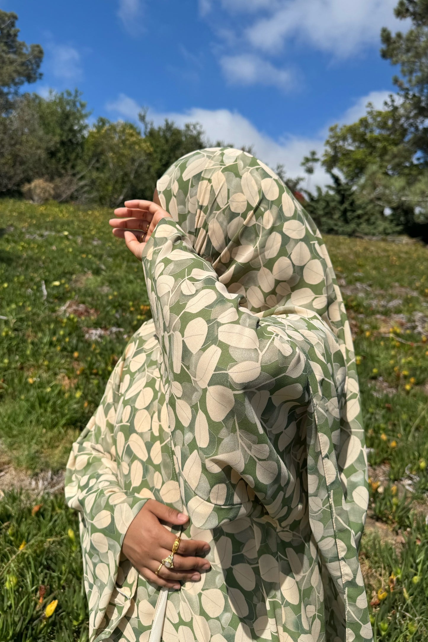 Olive Branch