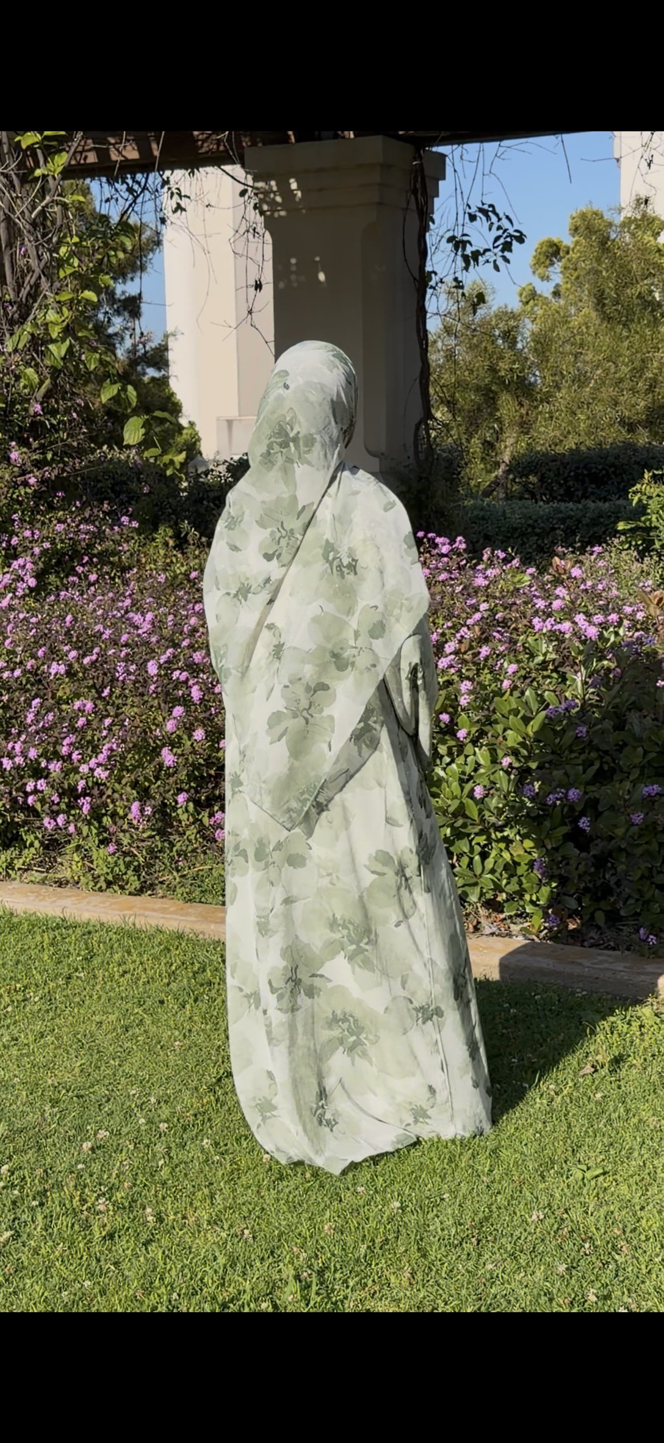 Aurelia