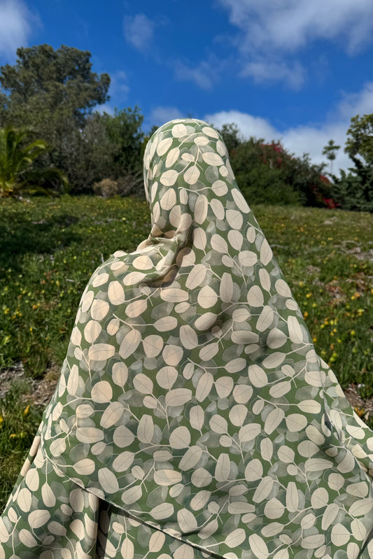 Olive Branch